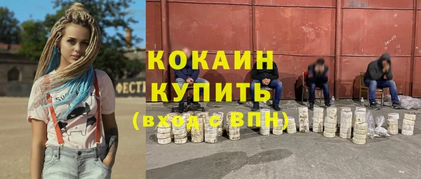 соль ск Алзамай